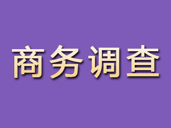 从化商务调查